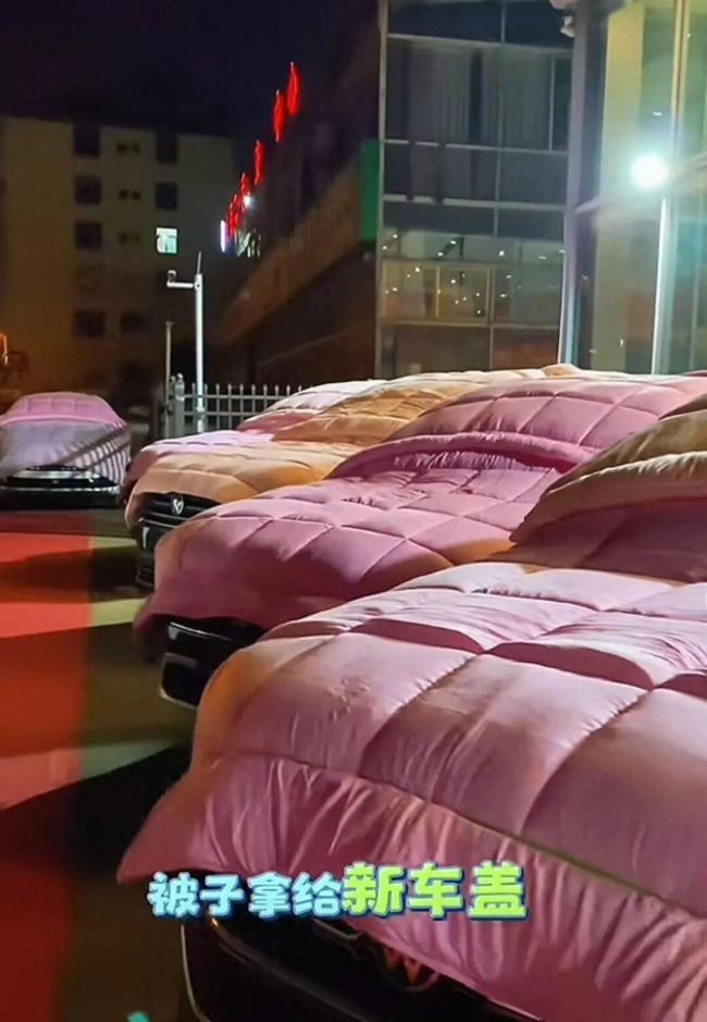 云南车商为新车盖棉被
