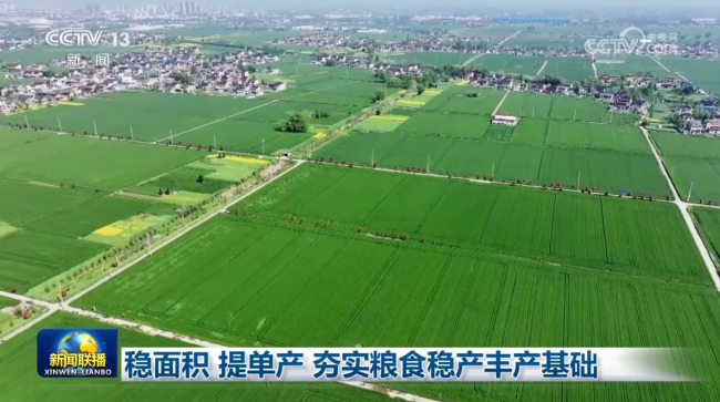 稳面积 提单产 夯实粮食稳产丰产基础