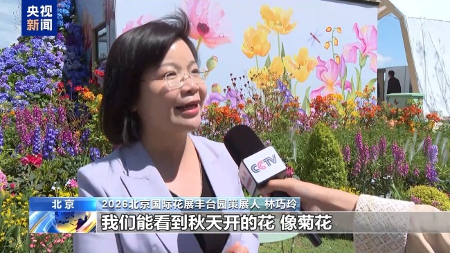 “五一”假期精彩已就位：光影秀点亮假日生活