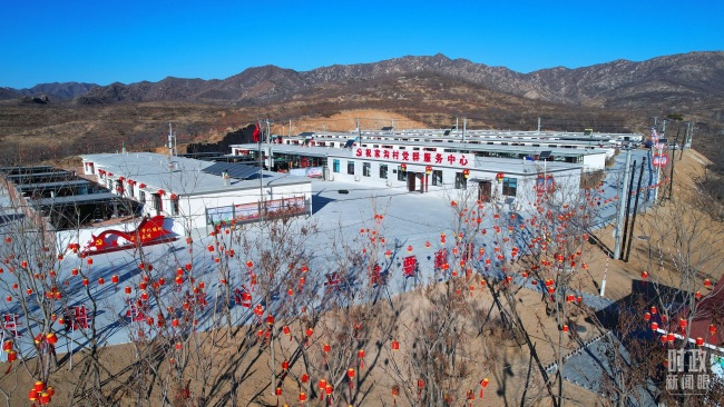 时政新闻眼丨中央政治局今年第二次集体学习，为何聚焦提高这一能力？