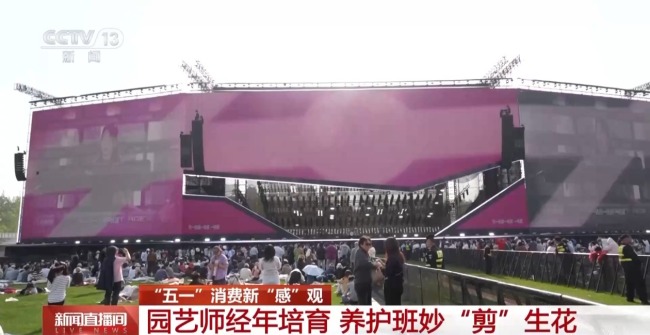 看见消费新潮流 花漾经济点亮假期