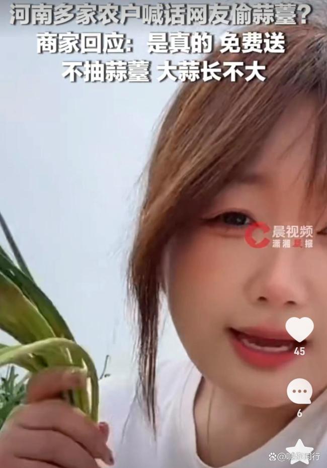 希望今天都来俺地里偷蒜薹：蒜农在线“求偷”引发网友热情响应