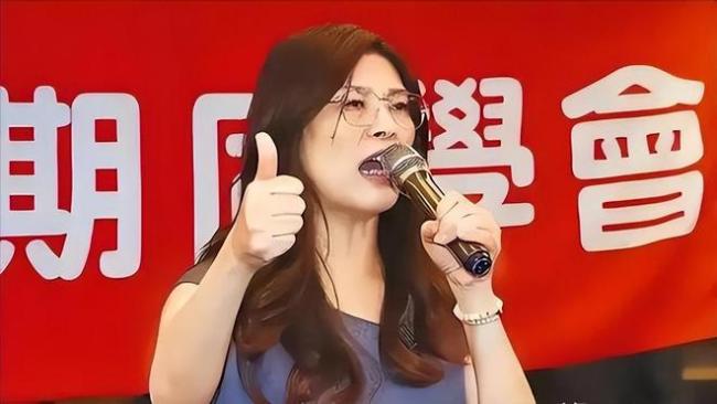 郑丽文再次表态台美巨额军售案 和平愿景遇冷