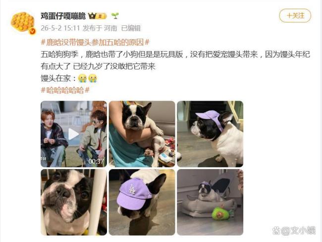 鹿晗的狗狗馒头9岁了 暖心考量背后的尊重