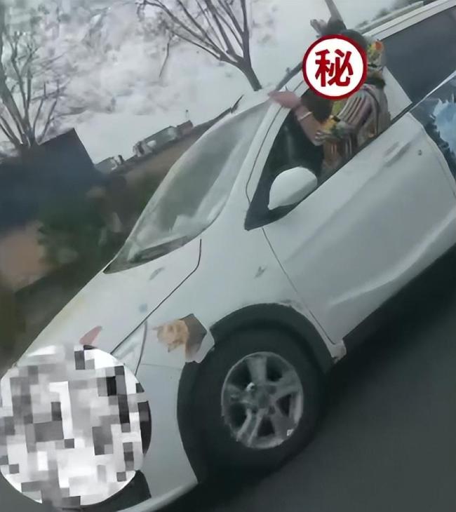 女子驾车探身车外“兜风”吓坏旁车 危险行为引热议