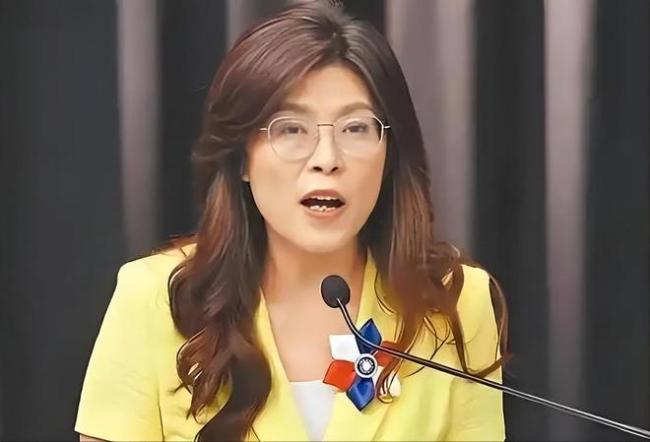 郑丽文再次表态台美巨额军售案 和平愿景遇冷