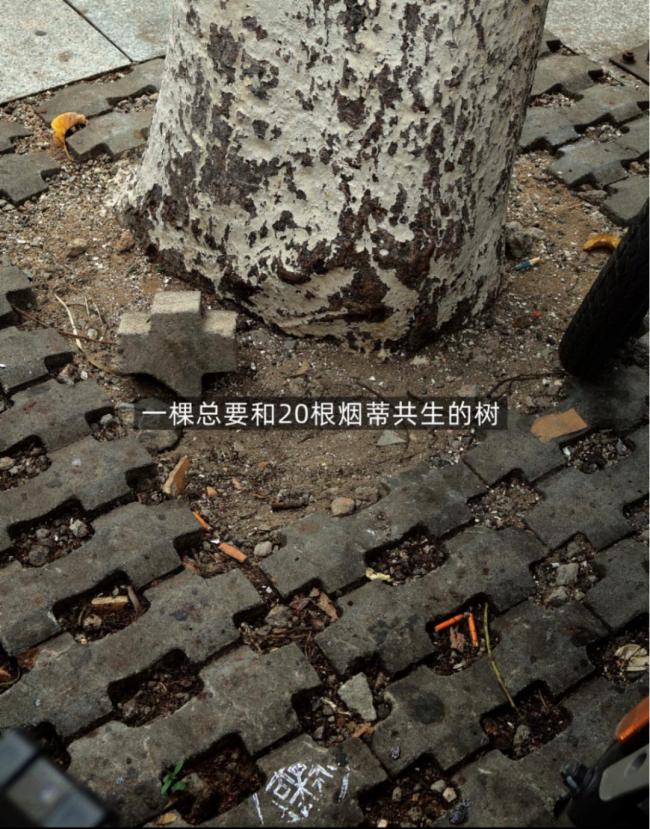 哪座城市的烟味最淡 呼吸自由的较量