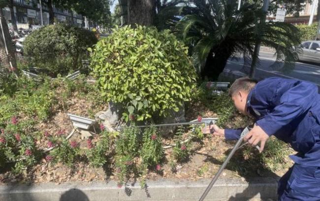 男子发现毒蛇上前拍照被咬中脚 电梯惊魂记