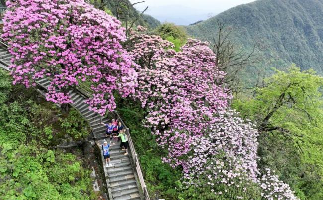 四川峨眉山景区发布“五一”成绩单 文旅消费迎双重热潮