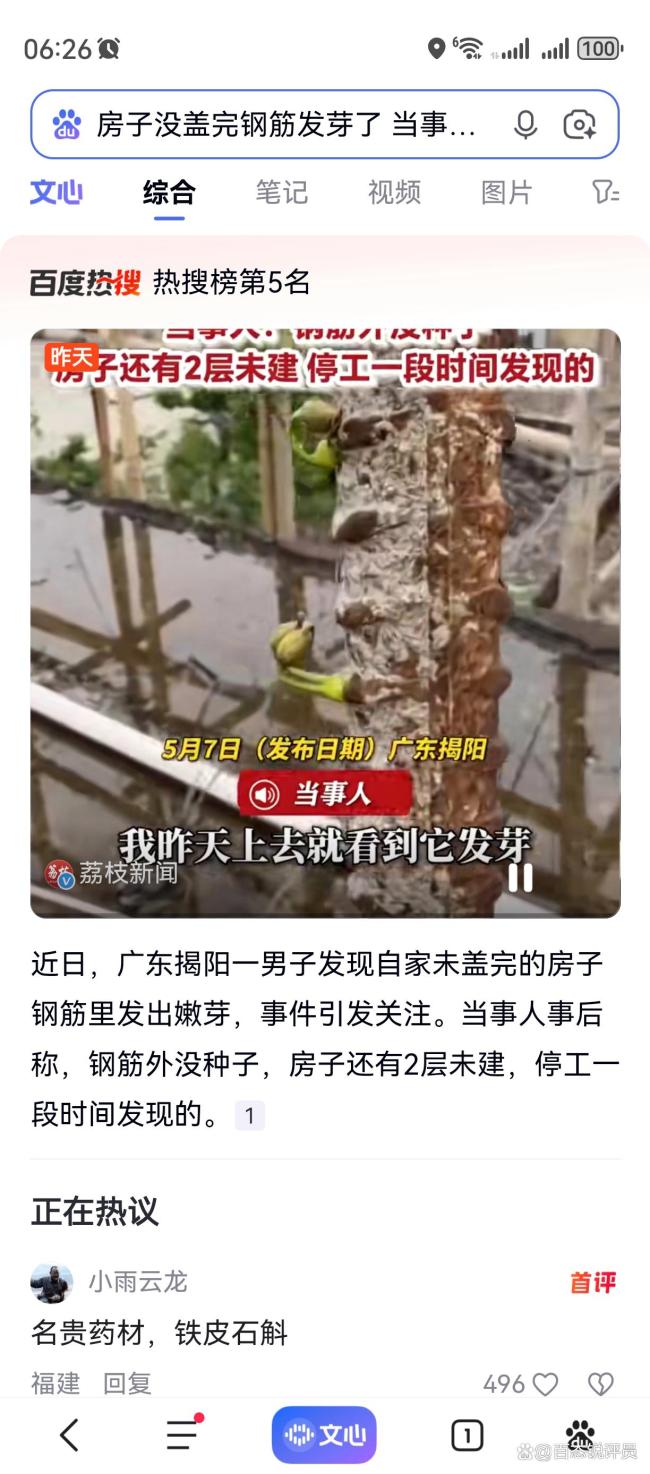 未盖完的房子钢筋里竟发出嫩芽