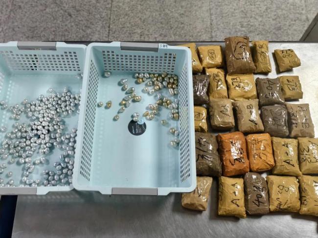旅客用电动车藏匿珍珠入境被查 价值273万珍珠被截获
