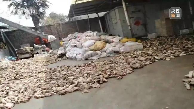 徐州一关键河道水质严重超标 小作坊排污致黑臭