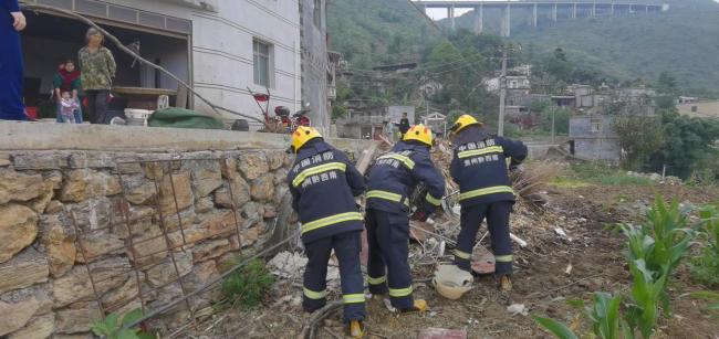 贵州一地菜园土堆藏两条眼镜蛇 消防员成功消除隐患