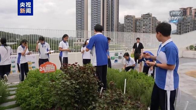 深圳娃把天台玩成“空中农场”！种菜 黑科技，这才是湾区少年的打开方式 动手实践促成长