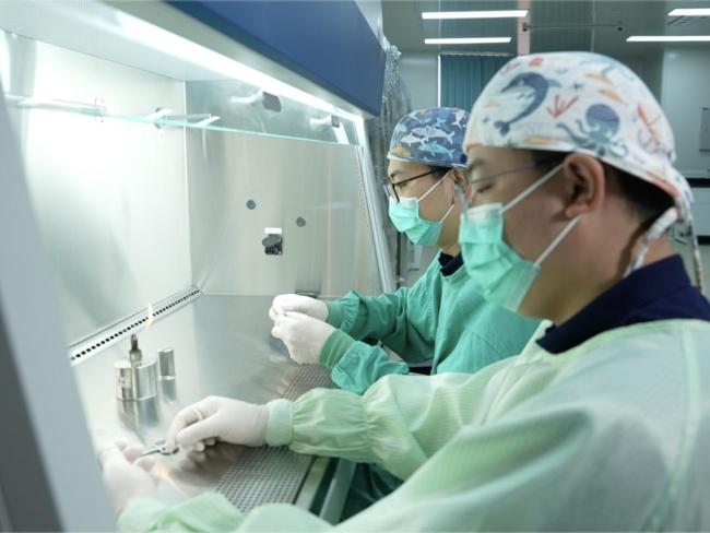 “人工胚胎”，首次进入太空！ 探索微重力对发育影响