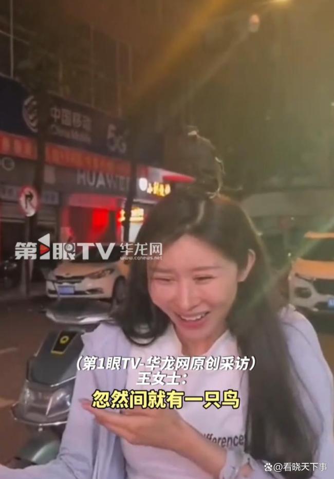 女子吃饭时一只鸟飞身上不走了 奇妙缘分引发热议