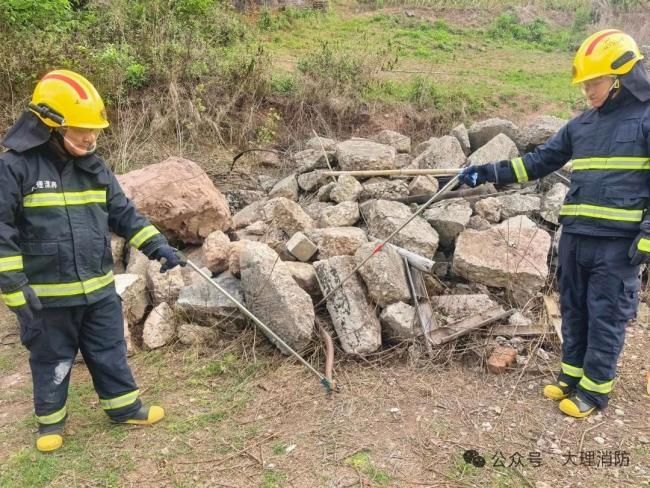 云南大理多地村庄现眼镜王蛇 消防连环捕蛇记
