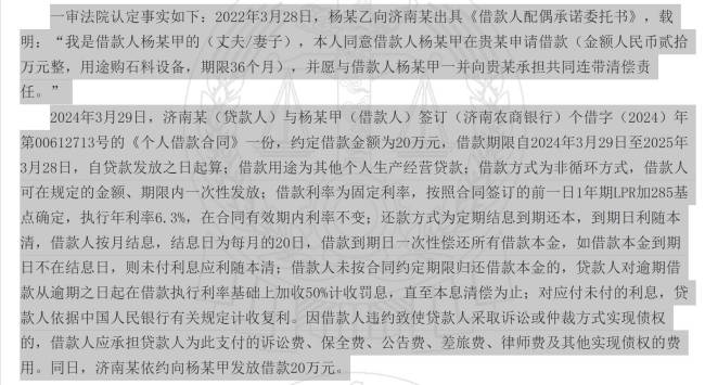 20万借款连带责任争议“落槌” 配偶承诺时效成焦点
