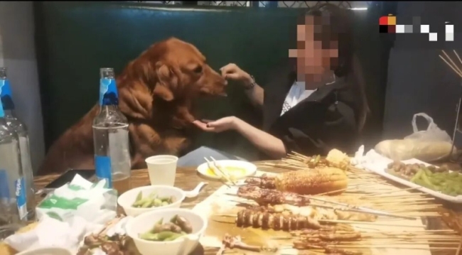 媒体评女子用烧烤签给狗撸串
