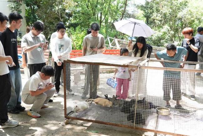 00后接手动物园1天干够仨月客流量 意外走红小园子迎来大客流