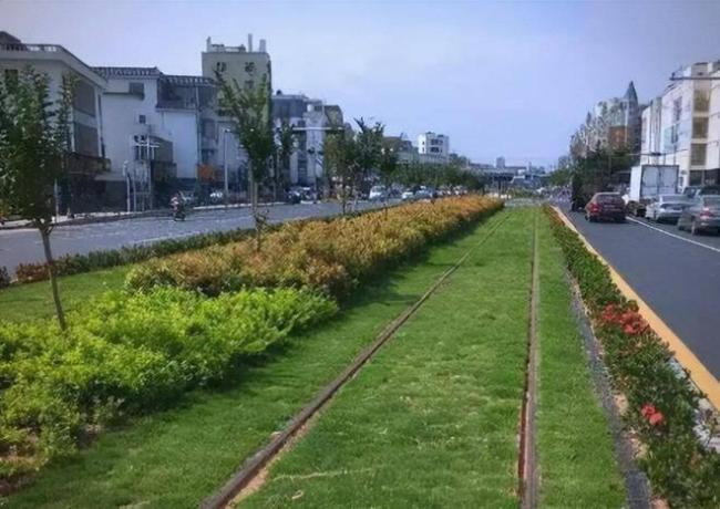 中国绿化带为何漂亮 匠心之作引热议