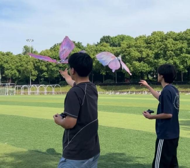 学生手搓仿生蝴蝶 曾一季度卖出20万 创新引领市场热潮
