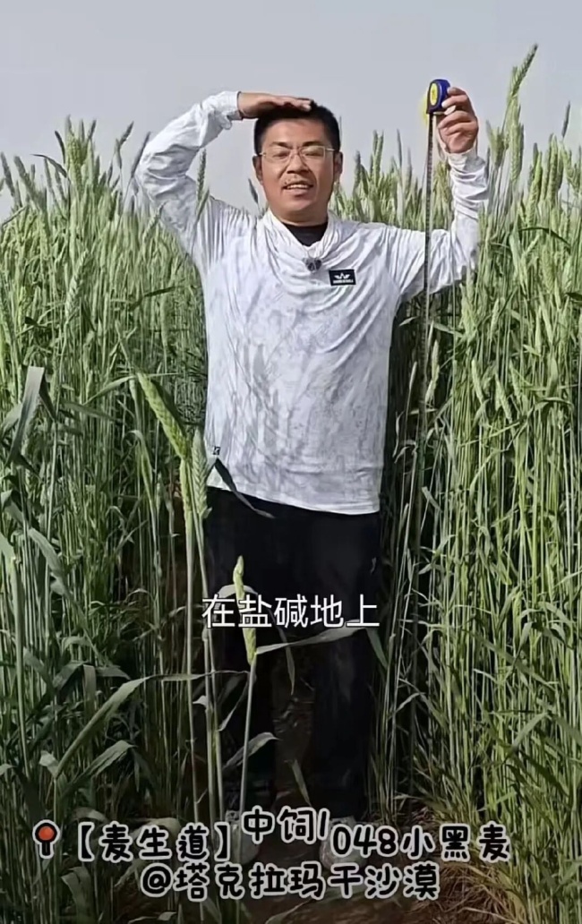 让袁隆平挠头的博士带来好消息