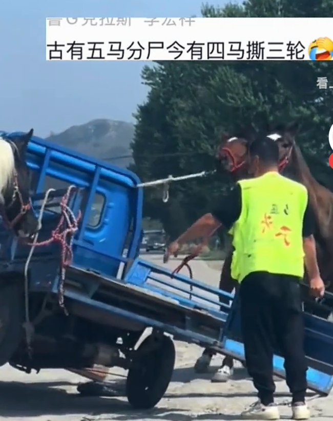 三轮车拴四匹马 车被“大卸八块”