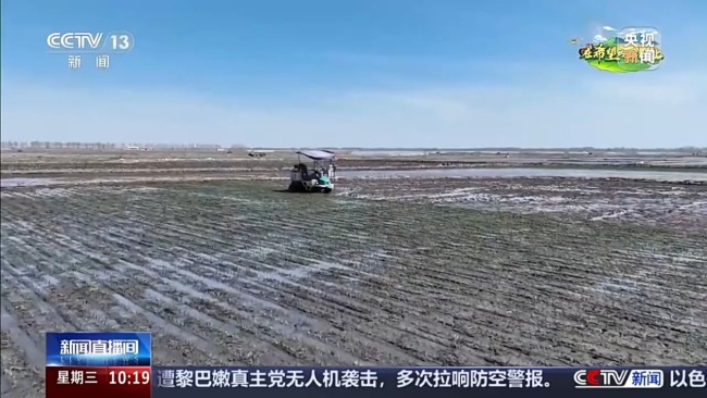 鹽堿地治理、農文旅融合 全國春灌拿出“妙招”海報
