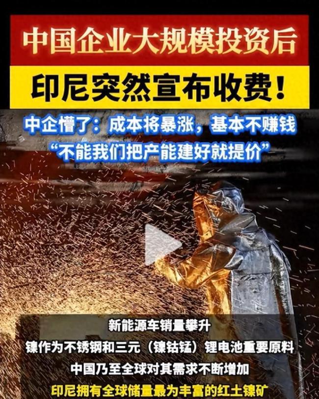 印菲凑了75%的镍就想卡中国，回头一看，王传福几年前就写好答案