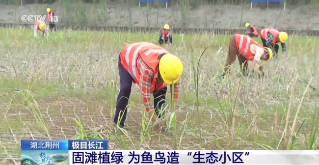 長江“九曲回腸”十年間成黃金水道