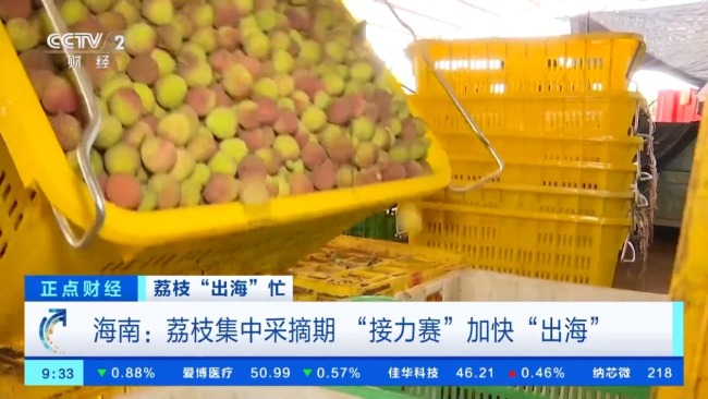 海南自贸港多项便利举措助力荔枝加速“出海”