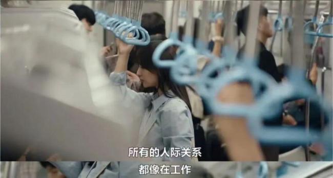 每月花500灵为猫续命，10年北漂重新审视独居生活：孤独与成长的代价