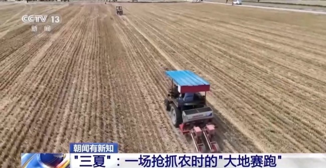 西南麦区迎来大面积收获 “三夏”大忙拉开帷幕