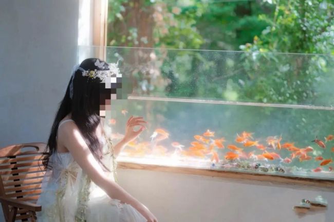 摄影师证实抱抱盲兔确为盲人 虚假摆拍引争议