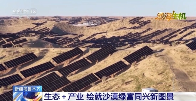 古爾班通古特沙漠綠量持續(xù)擴(kuò)容