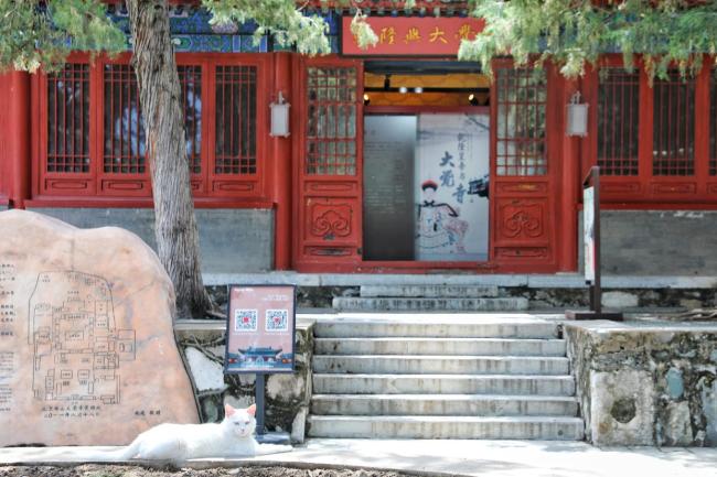 国际博物馆日走进大觉寺赴文化之约