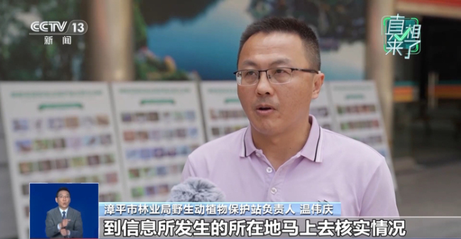 官方辟谣村民拍到野生华南虎