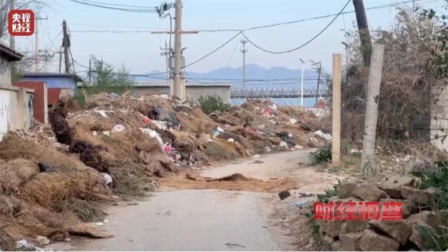 总台曝光多地违法倾倒乱象 农村垃圾治理困境凸显