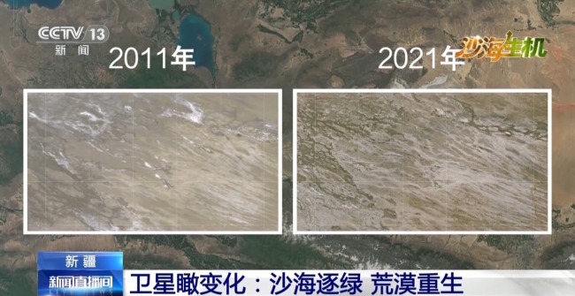 古爾班通古特沙漠綠量持續(xù)擴(kuò)容