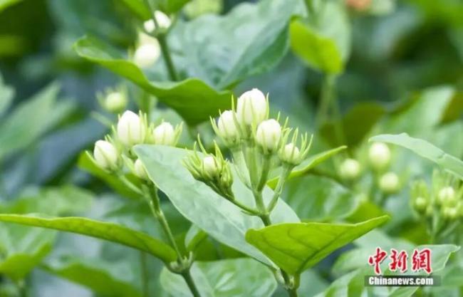 南宁凭啥让网友纷纷想二刷 古今交融之美吸引人