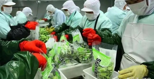 预制菜已经进化到开展会了 改变餐饮底层逻辑