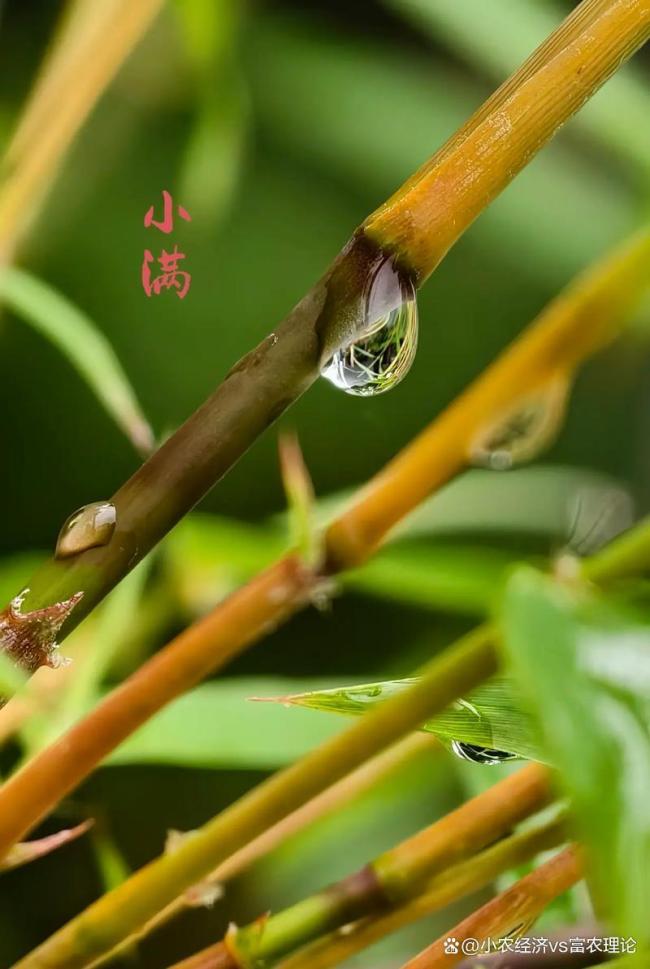 老东谈主说“小满起火，干断田坎”，何意？ 农谚背后的深意