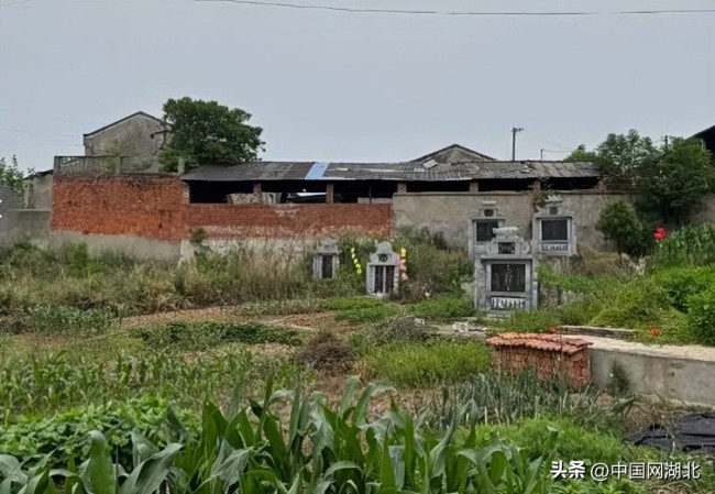 全村62人患癌多名村民發(fā)聲！