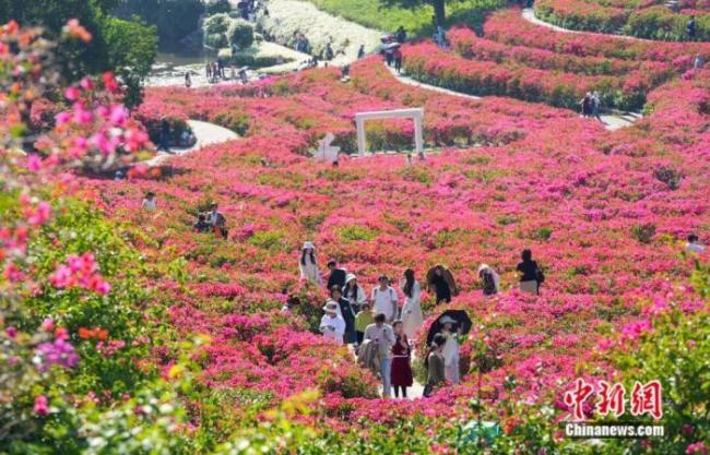 南宁凭啥让网友纷纷想二刷 古今交融之美吸引人
