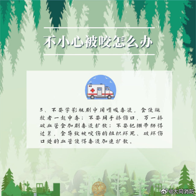 蛇类活跃期遇到蛇该怎么办？户外防蛇安全提示