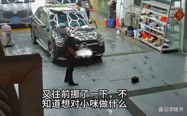 车主2次调整方向碾压洗车店内猫咪 为富不仁行为引众怒