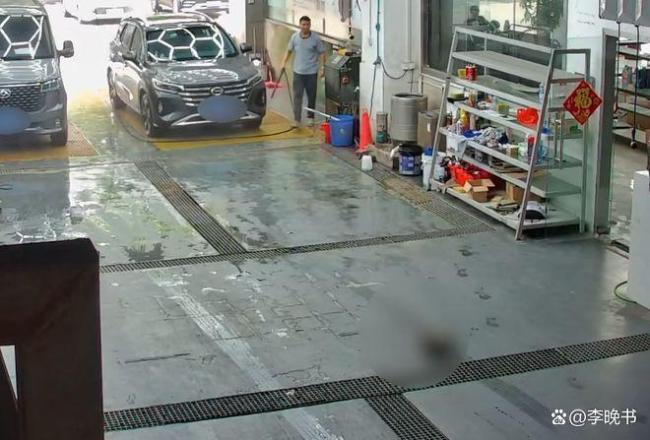 車主2次調(diào)整方向碾壓洗車店內(nèi)貓咪 為富不仁行為引眾怒