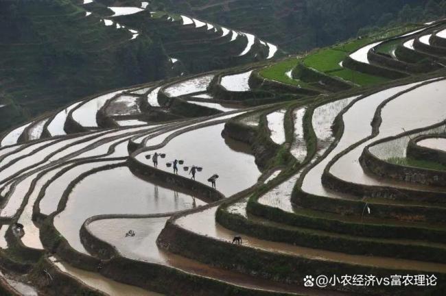 早小满雨不休，晚小满旱断河：小满节气气候预兆