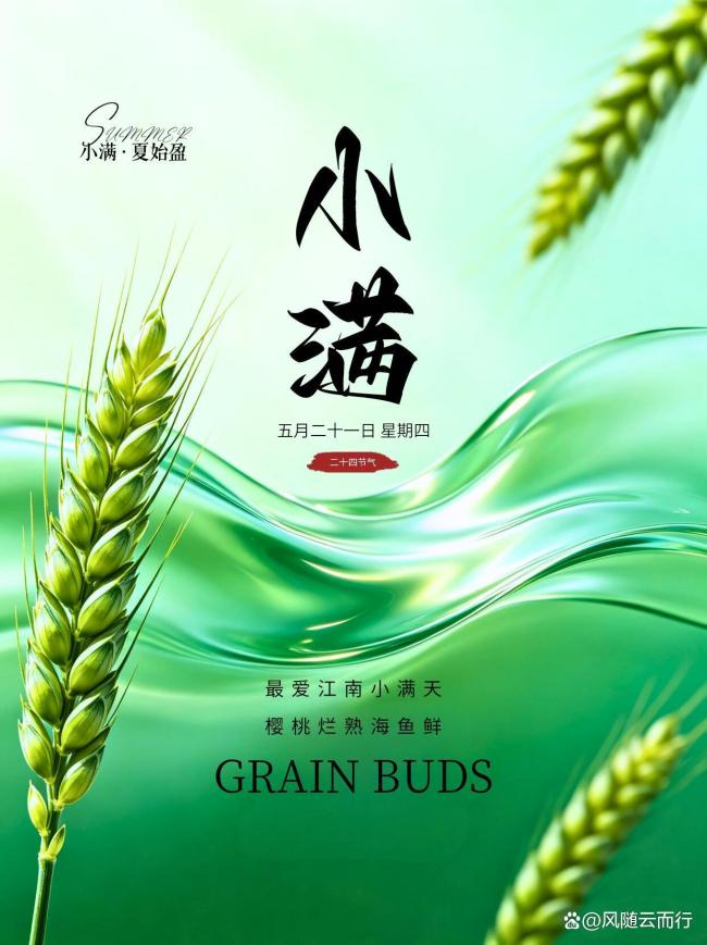 小满节气里的烟火诗意